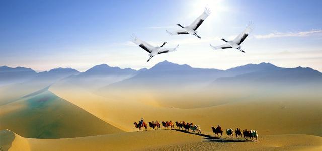 关于苯酚的发展历史.....